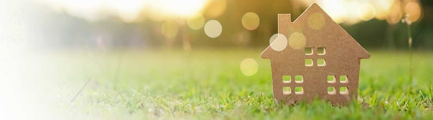 Land Purchase